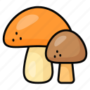 mushroom, food, vegetable, healthy, toadstool, fungi, ingredient