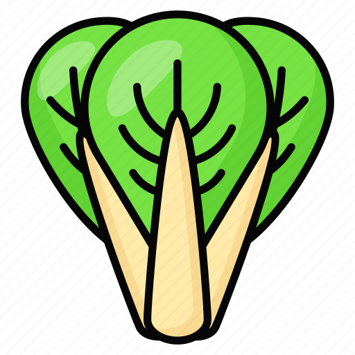 Bok choy, food, vegetable, leaves, healthy, natural, diet icon - Download on Iconfinder