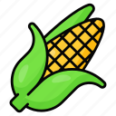 corn, maize, food, cob, vegetable, healthy, diet