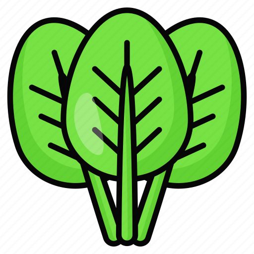 Spinach, vegetable, leafy, food, healthy, organic, salad icon - Download on Iconfinder