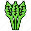 celery, food, natural, leaf, healthy, vegetable, agriculture 