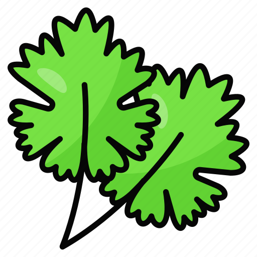 Coriander, parsley, leafy, vegetable, ingredient, food, veggie icon - Download on Iconfinder