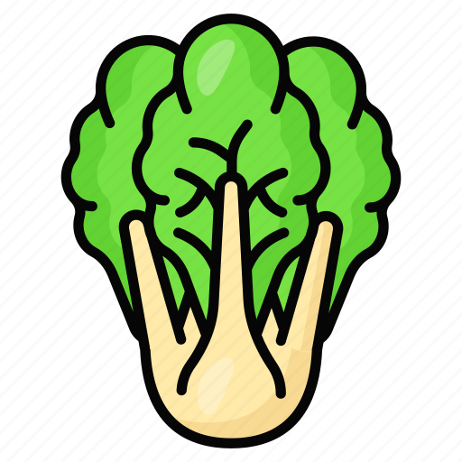 Cabbage, vegetable, organic, healthy, food, nutrition, leafy icon - Download on Iconfinder