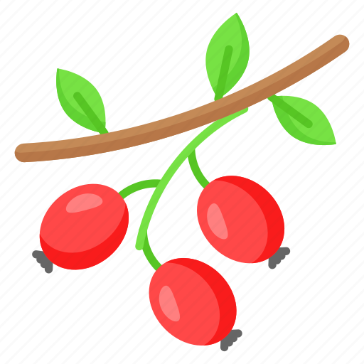 Hawthorn, food, fruit, red, berry, medicinal, nutritious icon - Download on Iconfinder