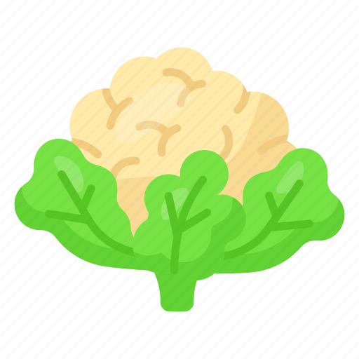 Cauliflower, vegetable, food, healthy, natural, cabbage, fresh icon - Download on Iconfinder