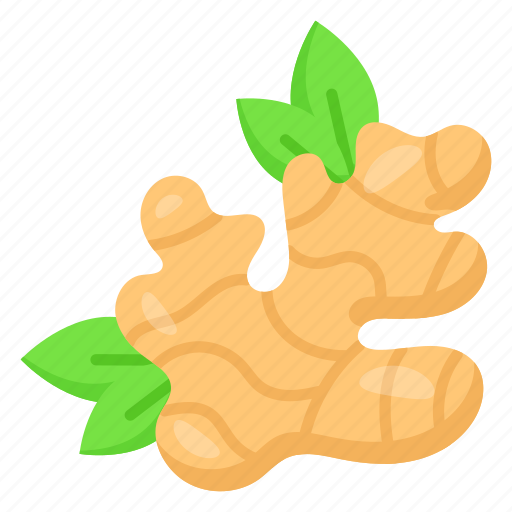 Ginger, food, healthy, nutrition, organic, spice, natural icon - Download on Iconfinder