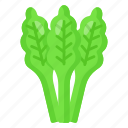celery, food, natural, leaf, healthy, vegetable, agriculture