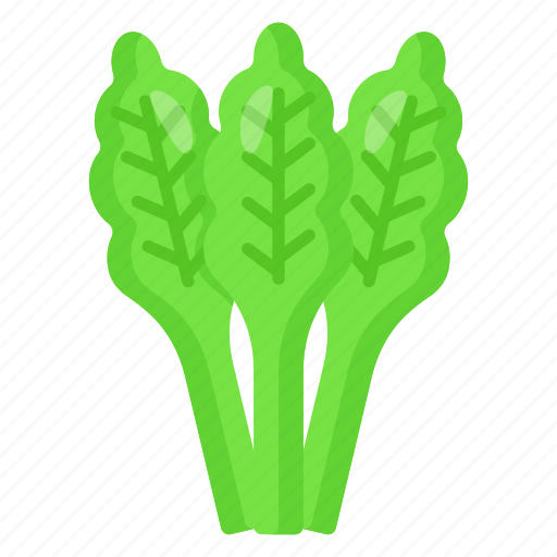 Celery, food, natural, leaf, healthy, vegetable, agriculture icon - Download on Iconfinder