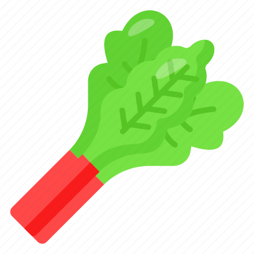 Rhubarb, salad, natural, vegetable, food, healthy, nutrition icon - Download on Iconfinder