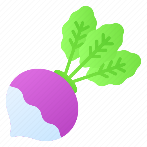Turnip, vegetable, food, leaves, natural, diet, salad icon - Download on Iconfinder