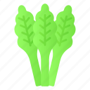 celery, food, natural, leaf, healthy, vegetable, agriculture