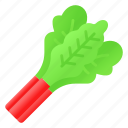 rhubarb, salad, natural, vegetable, food, healthy, nutrition