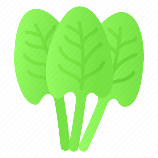 Sorrel, vegetable, food, healthy, leafy, ingredient, rumex acetosa icon - Download on Iconfinder