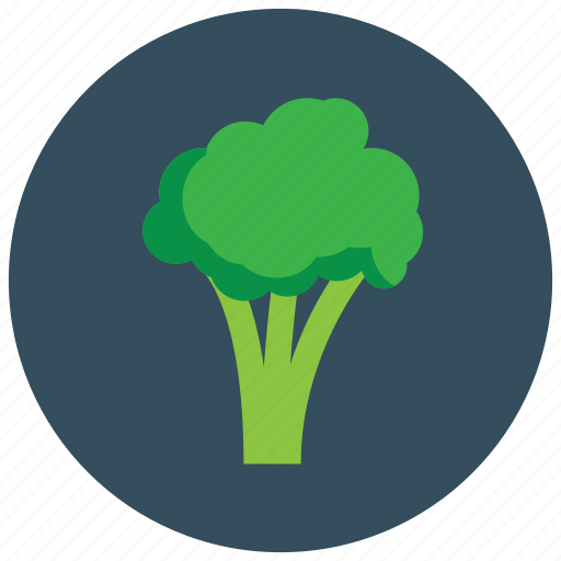 Brocolli, food, organic, vegetable icon - Download on Iconfinder