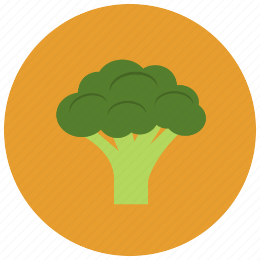 Brocolli, food, organic, vegetable icon - Download on Iconfinder