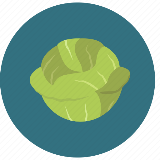 Cabbage, food, organic, vegetable icon - Download on Iconfinder