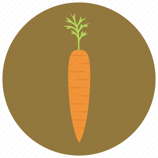 Carrot, food, organic, vegetable icon - Download on Iconfinder