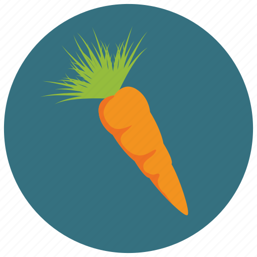Carrot, food, fruits, vegetables icon - Download on Iconfinder