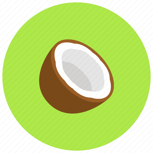 Coconut, food, nut, organic icon - Download on Iconfinder