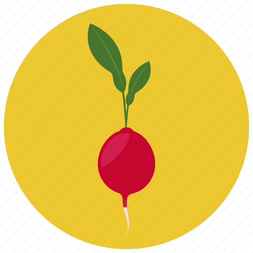 Food, organic, radish, vegetable icon - Download on Iconfinder
