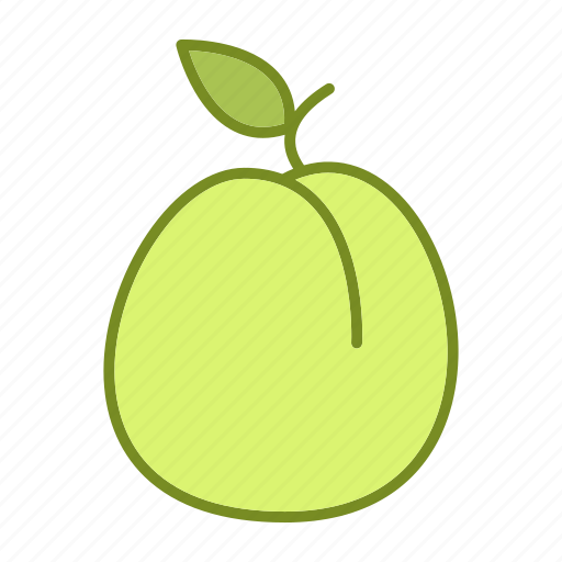 Apricot, food, fruit, fruits and vegetables, healthy, peach icon - Download on Iconfinder