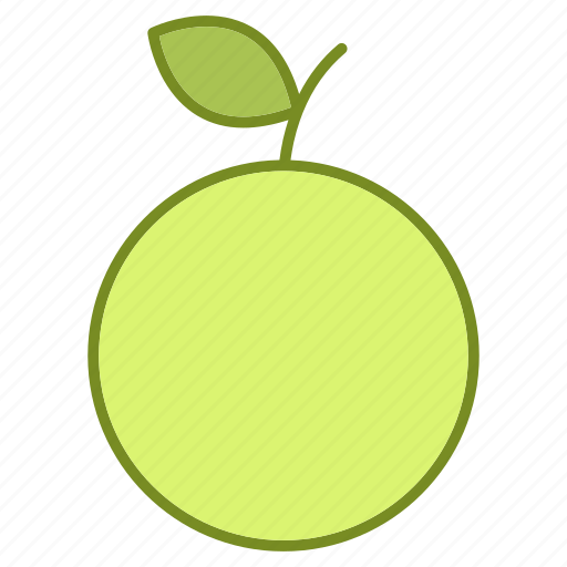 Citrus, food, fresh, fruits and vegetables, juicy, orange, tropical icon - Download on Iconfinder