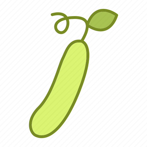 Cucumber, food, fruits and vegetables, vegetable icon - Download on Iconfinder