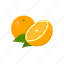 citrus fruit, dessert, orange, plant, vitamins 