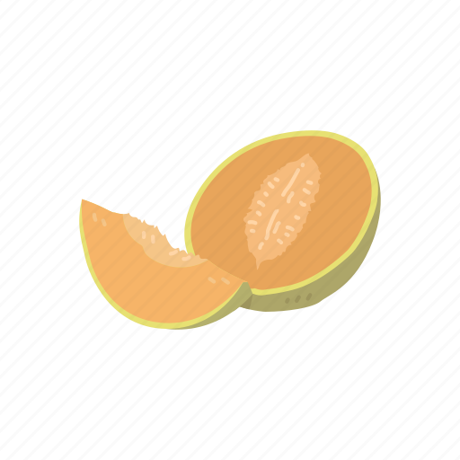 Cantaloupe, dessert, fruit, melon, muskmelon, plant icon - Download on Iconfinder