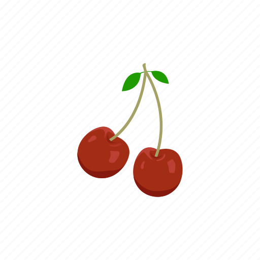 Cherry, cherry palm, dessert, food, fruit, plant icon - Download on Iconfinder