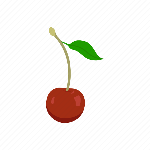 Cherry, cherry palm, dessert, food, fruit, plant icon - Download on Iconfinder