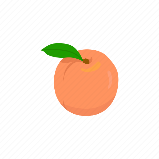 Food, fruit, juicy fruit, nectarine, peach, plant icon - Download on Iconfinder