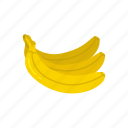 banana, dessert, fruit, plant, potassium, vitamins