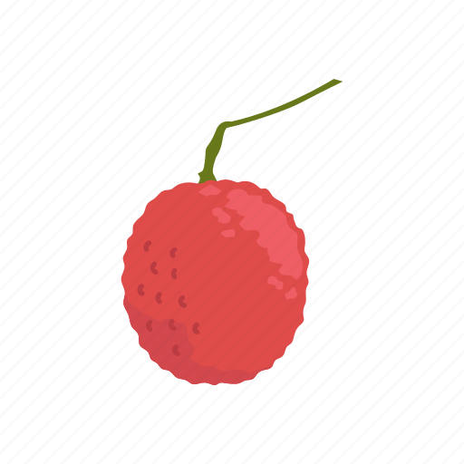 Dessert, fruit, health, lychee, plant, tropical fruit icon - Download on Iconfinder