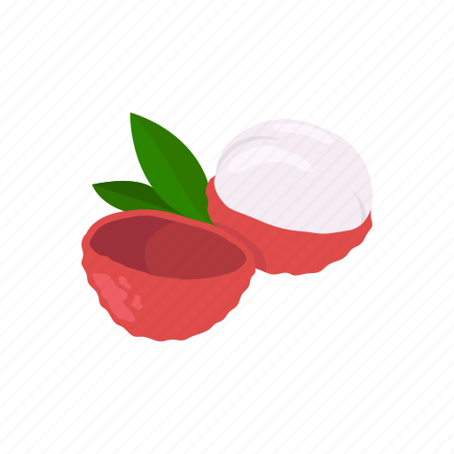 Dessert, fruit, health, lychee, plant, tropical fruit icon - Download on Iconfinder