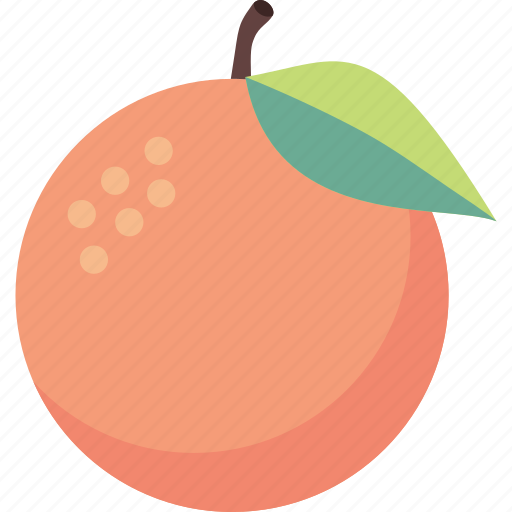 Citrus, fresh, fruit, orange icon - Download on Iconfinder