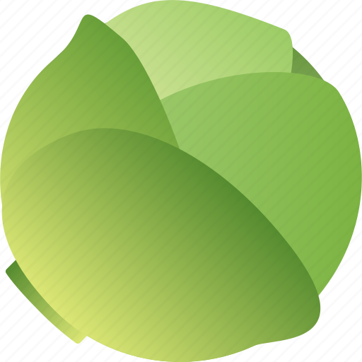 Cabbage, cole, food, healthy, vegetable, vegetarian icon - Download on Iconfinder