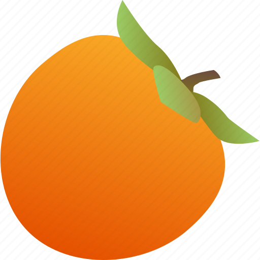 Food, fruit, healthy, persimmon, vegetarian icon - Download on Iconfinder
