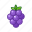 berry, bone, fruit, grape, sweet, cartoon, food, wine 