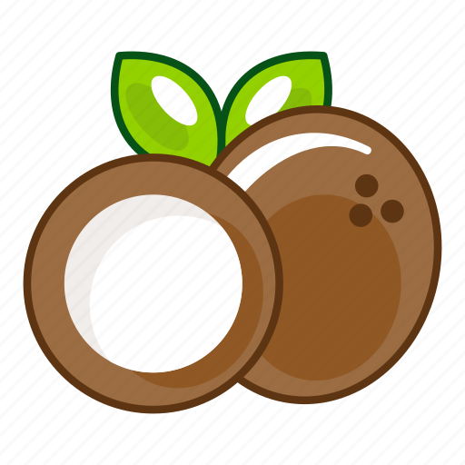 Fruits, coconut, palm, fruit, food, healthy, fresh icon - Download on Iconfinder