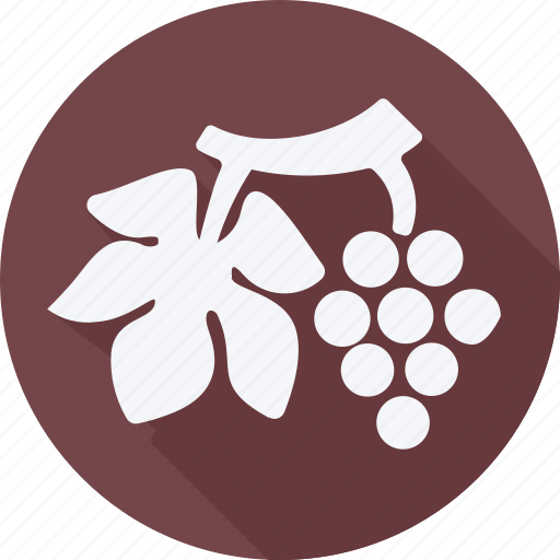 Cooking, food, fruit, fruits, gastronomy, vegetable, grape icon - Download on Iconfinder