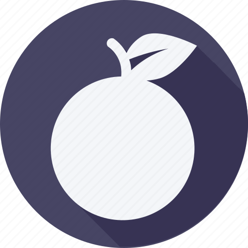 Cooking, food, fruit, fruits, gastronomy, vegetable, orange icon - Download on Iconfinder