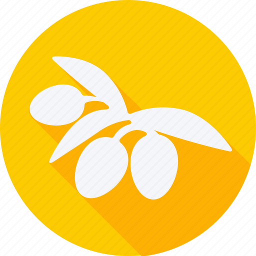 Fruit, fruits, gastronomy, vegetable, lychee, olives, olive icon - Download on Iconfinder