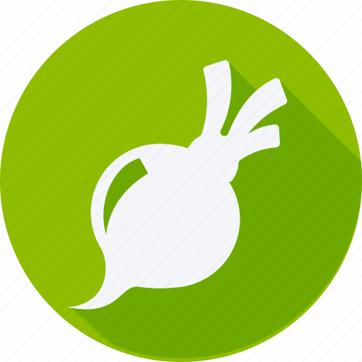 Cooking, fruit, fruits, gastronomy, vegetable, radish, turnip icon - Download on Iconfinder
