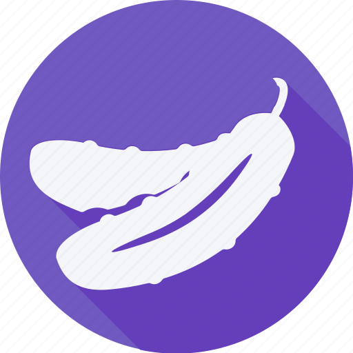 Cucumber, cucumbers, diet, food and restaurant, healthy food, organic, vegetarian icon - Download on Iconfinder