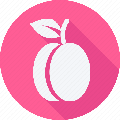 Cooking, food, fruit, fruits, gastronomy, vegetable, plum icon - Download on Iconfinder