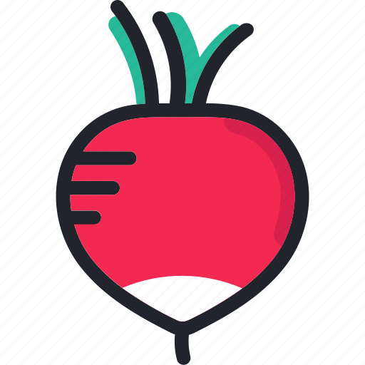Cooking, food, fruit, gastronomy, radish, vegetable icon - Download on Iconfinder
