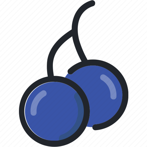 Blueberries, dessert, food, fruit, gastronomy, healthy, meal icon - Download on Iconfinder