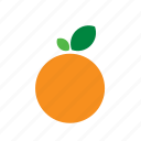 apricot, food, fruit, orange, plum