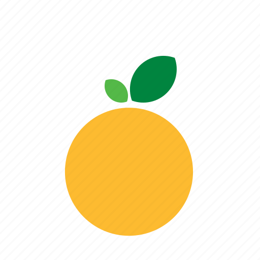 Apricot, food, fruit, orange, peach, vegetable icon - Download on Iconfinder